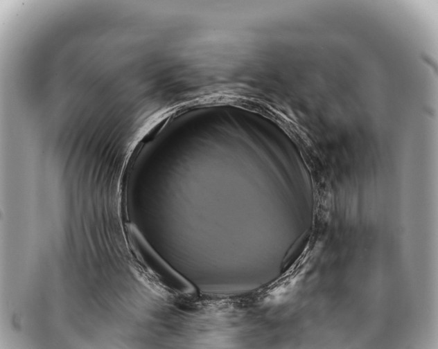 X0000094420100200711291559