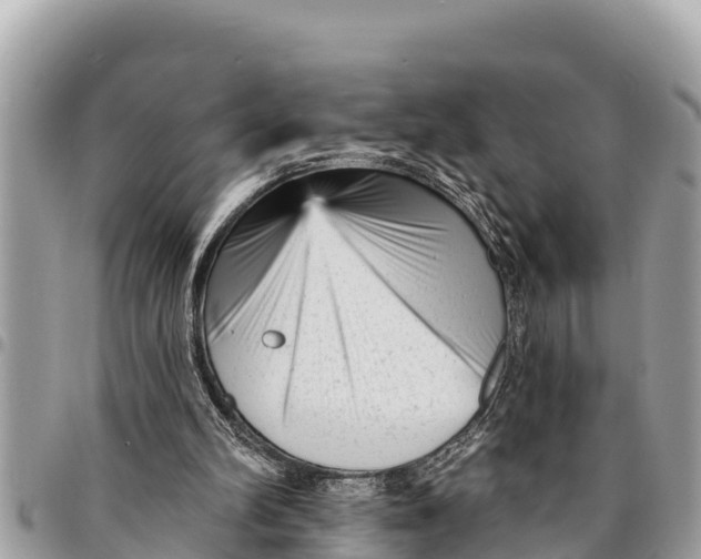 X0000094420102200711291559