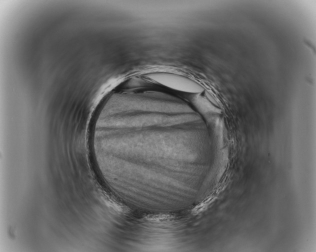 X0000094420104200711291559