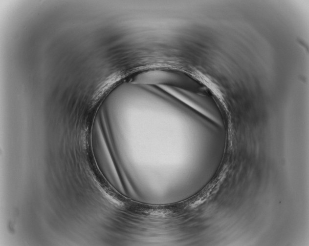 X0000094420105200711291559