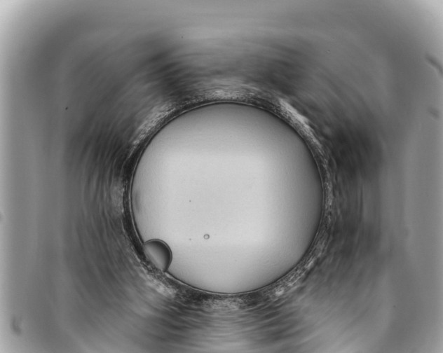 X0000094420106200711291559