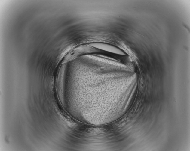 X0000094420107200711291559