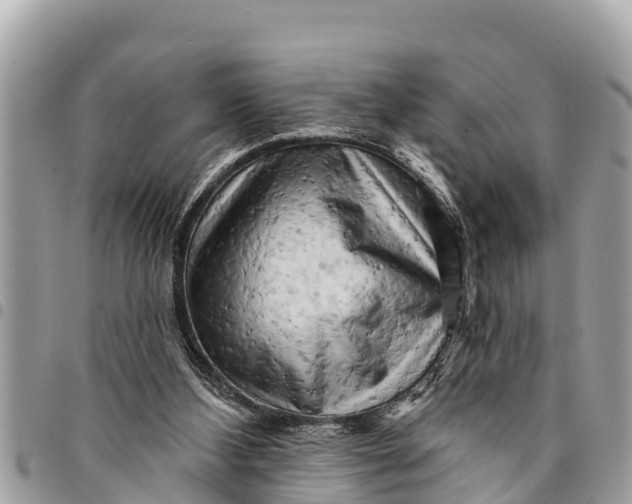 X0000094420108200711291559