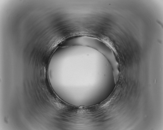 X0000094420109200711291559