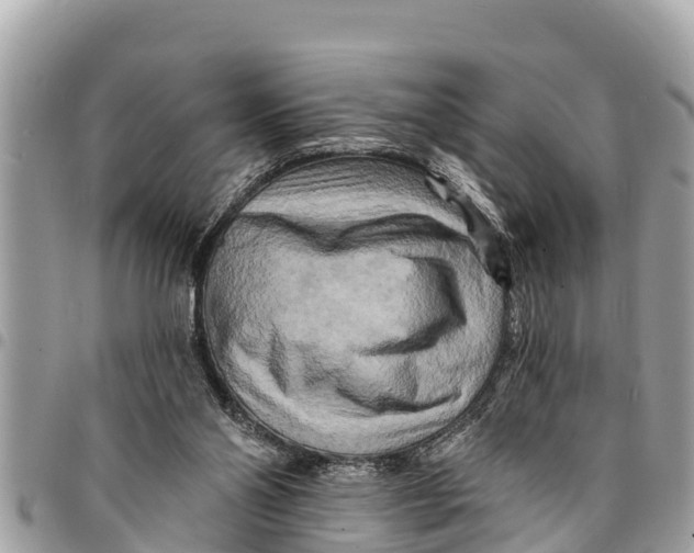 X0000094420110200711291559