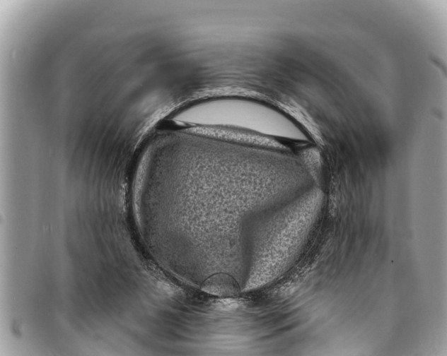 X0000094420111200711291559