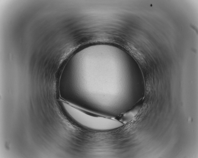 X0000094420112200711291559