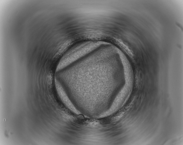 X0000094420113200711291559