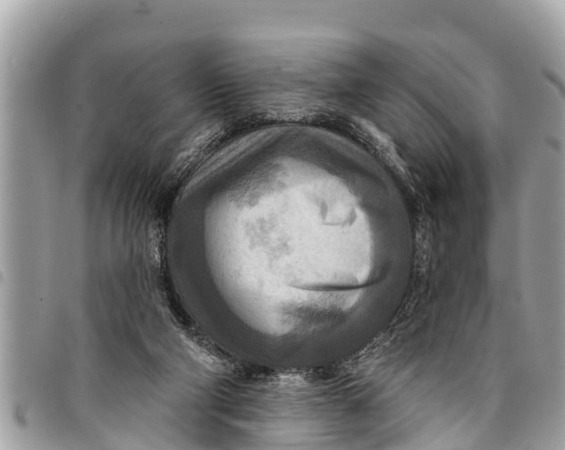 X0000094420114200711291559