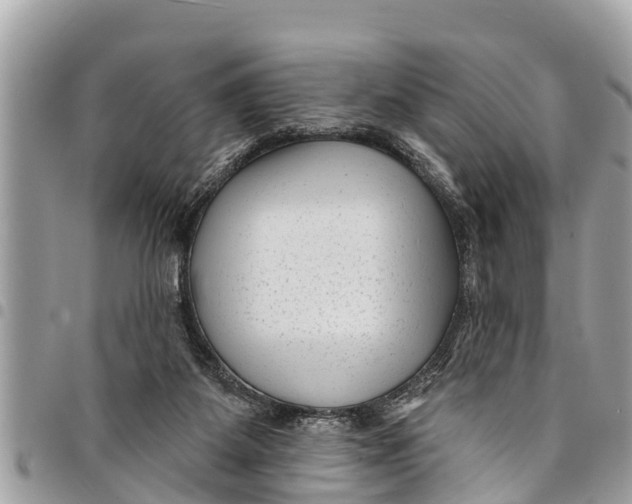 X0000094420115200711291559