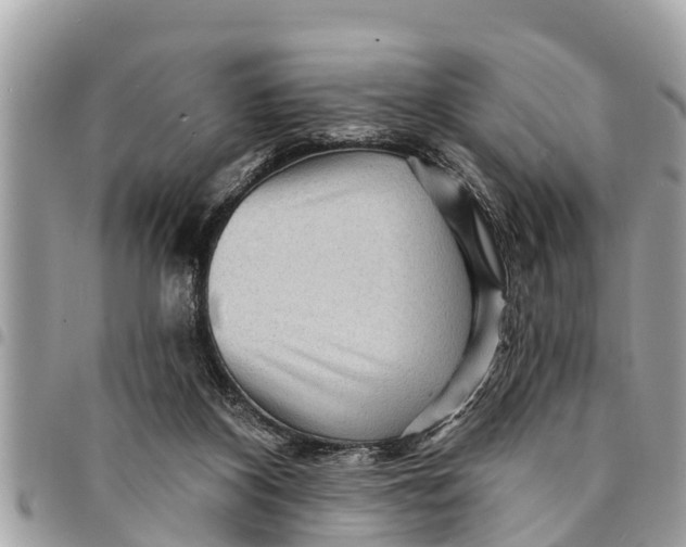 X0000094420116200711291559