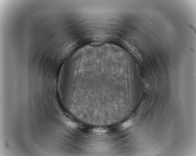 X0000094420117200711291559