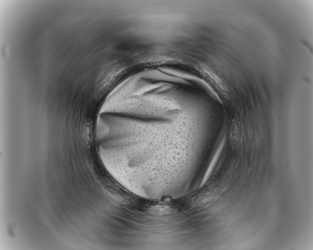 X0000094420119200711291559