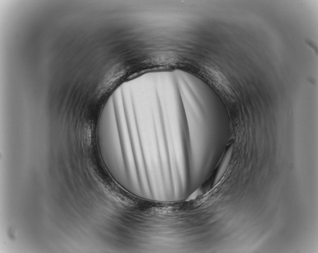 X0000094420120200711291559