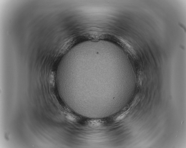 X0000094420121200711291559