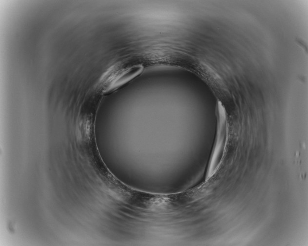 X0000094420124200711291559