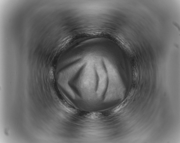 X0000094420128200711291559