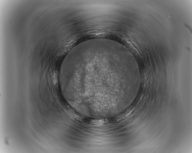 X0000094420131200711291558