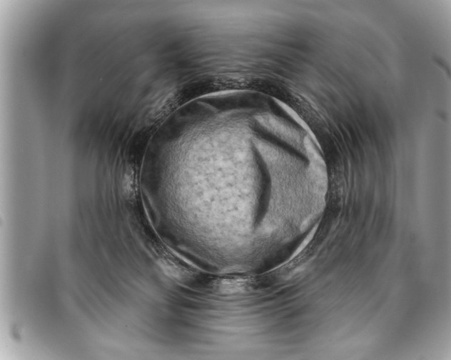 X0000094420134200711291558