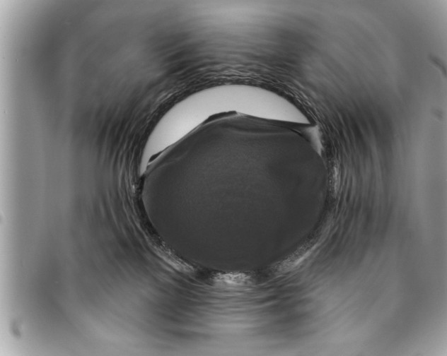 X0000094420137200711291558