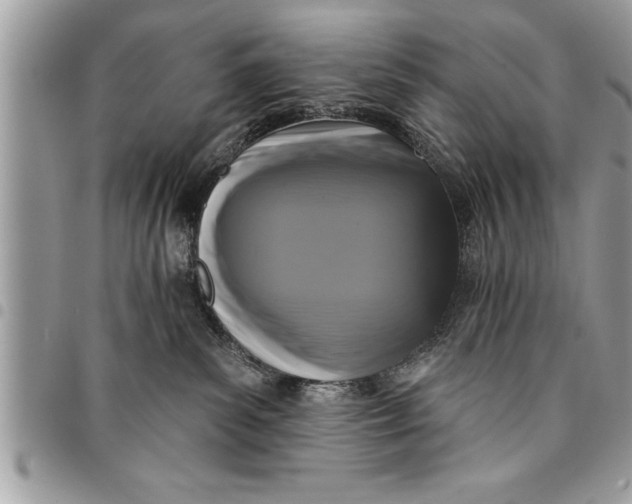 X0000094420139200711291558