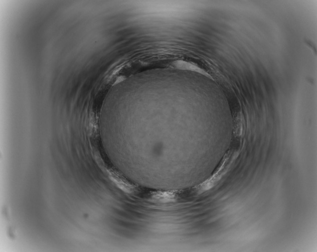 X0000094420140200711291558