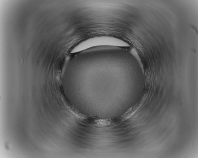 X0000094420141200711291558