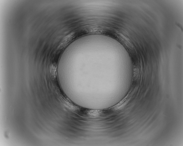 X0000094420142200711291558