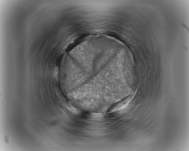 X0000094420144200711291558