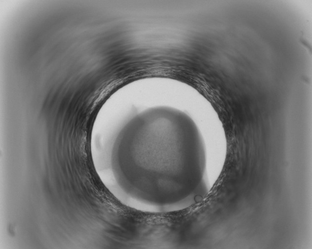 X0000094420146200711291558