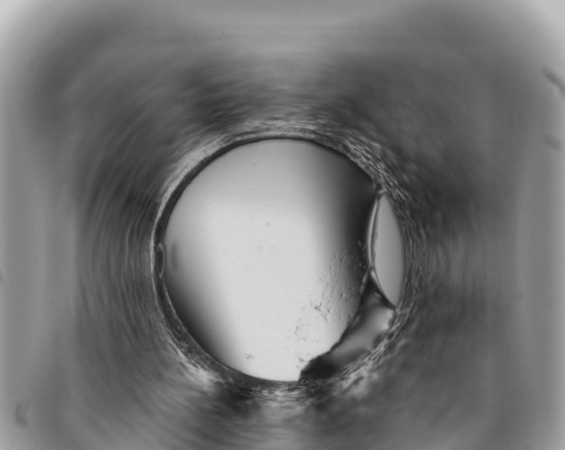 X0000094420148200711291558