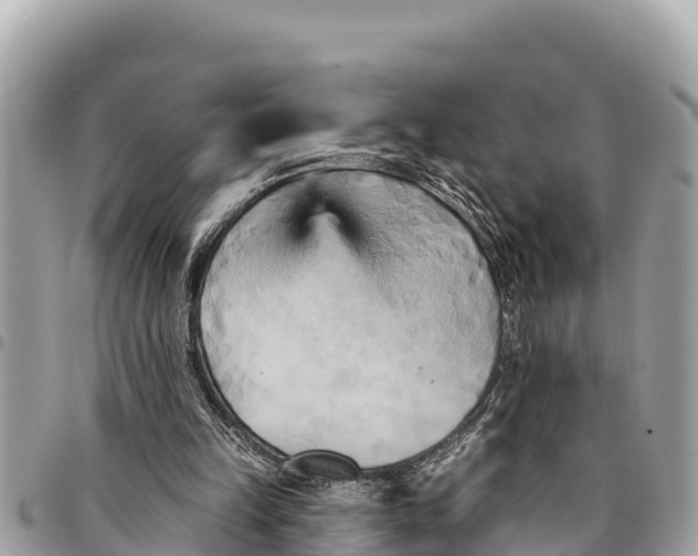 X0000094420149200711291558