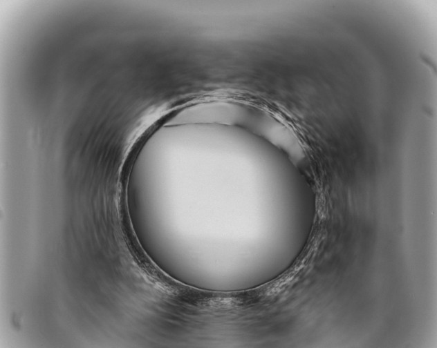 X0000094420152200711291558