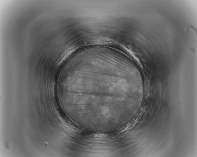 X0000094420154200711291558