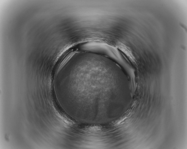 X0000094420156200711291558