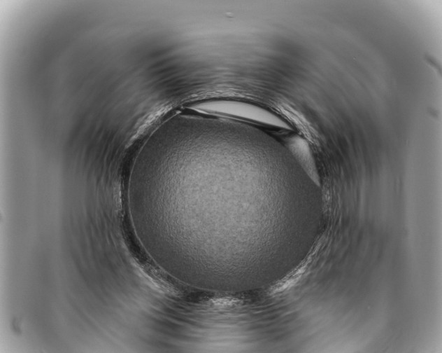 X0000094420158200711291558