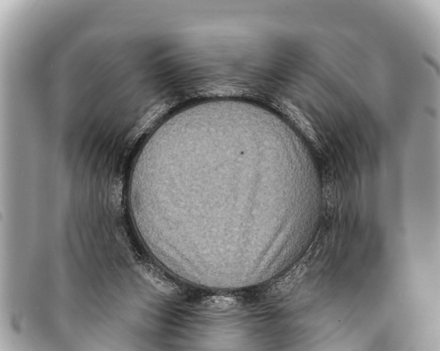 X0000094420159200711291558