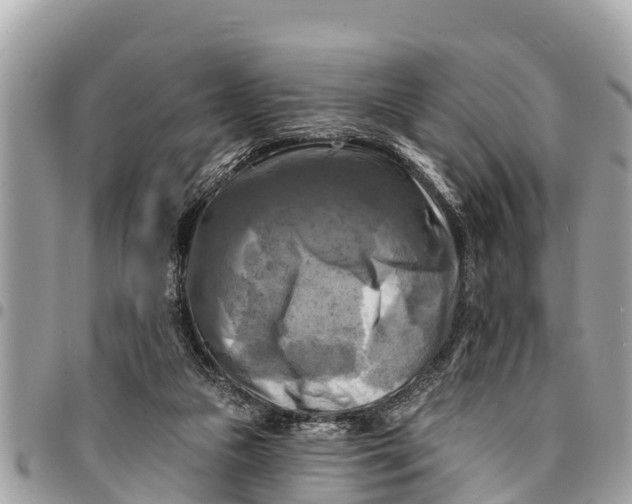 X0000094420161200711291558