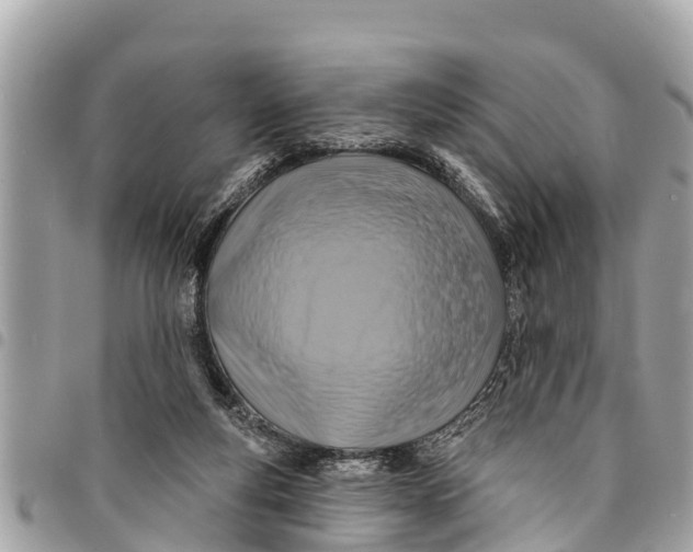 X0000094420163200711291558