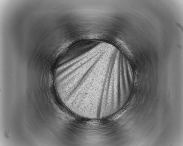 X0000094420164200711291558