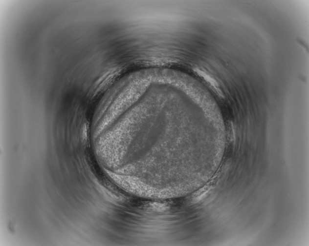 X0000094420166200711291558