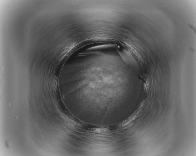 X0000094420168200711291558