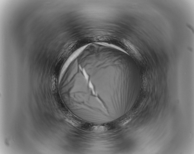 X0000094420169200711291558