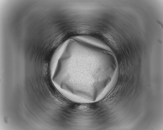 X0000094420171200711291558