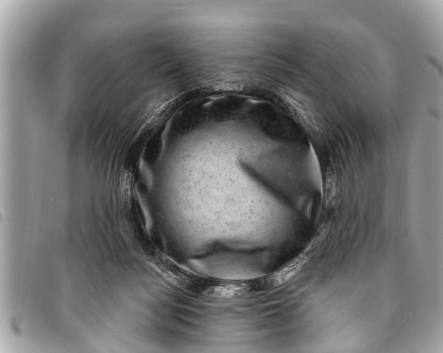 X0000094420172200711291558