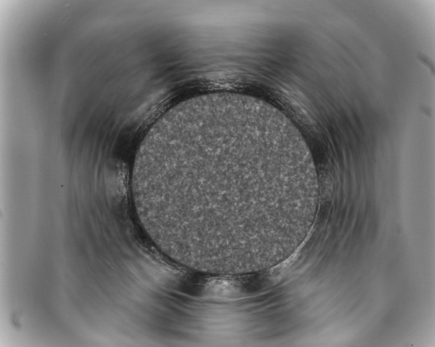 X0000094420174200711291558