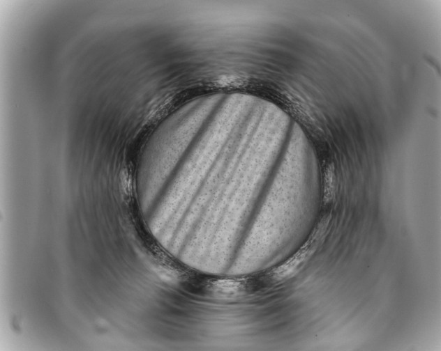 X0000094420176200711291558