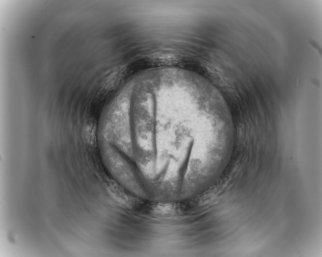 X0000094420177200711291558