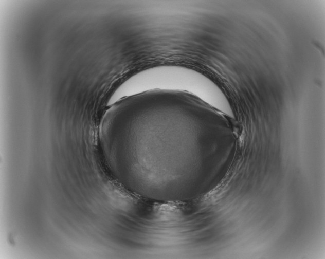 X0000094420180200711291558