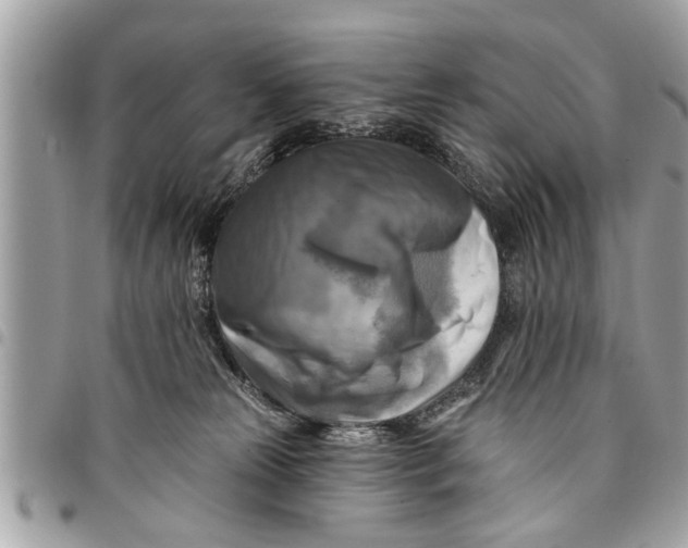 X0000094420181200711291558